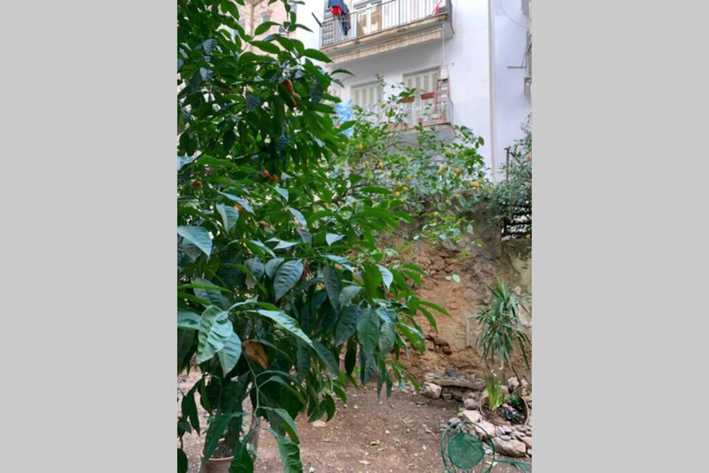 Quiet And Central Flat With Private Backyard Garden Aten Exteriör bild