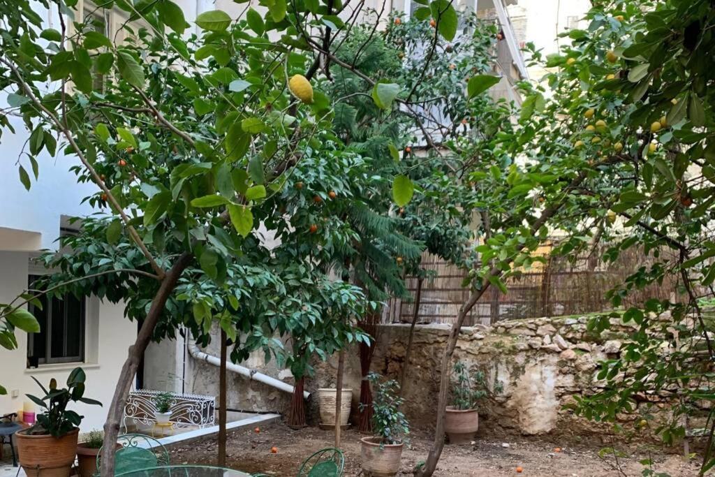 Quiet And Central Flat With Private Backyard Garden Aten Exteriör bild